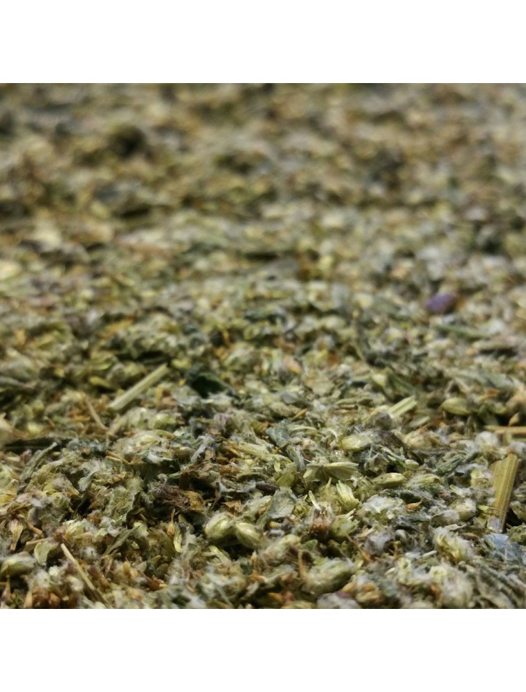 Image principale de la modale pour Armoise - Partie aérienne coupée 100g - Tisane d'Artemisia vulgaris L.