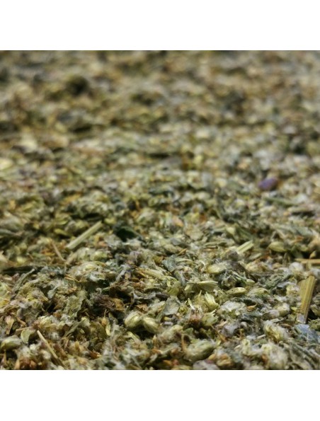 Image principale de Armoise - Partie aérienne coupée 100g - Tisane d'Artemisia vulgaris L.