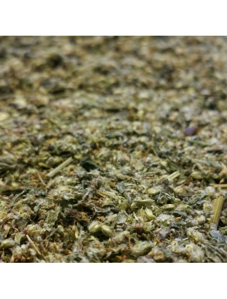 Achetez Armoise - Partie aérienne coupée 100g - Tisane d'Artemisia vulgaris L. à l'herboristerie Louis Image principale de Armoise - Partie aérienne coupée 100g - Tisane d'Artemisia vulgaris L.