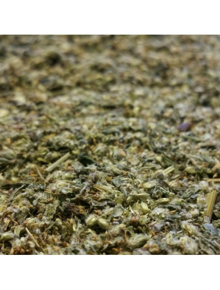 Armoise - Partie aérienne coupée 100g - Tisane d'Artemisia vulgaris L.