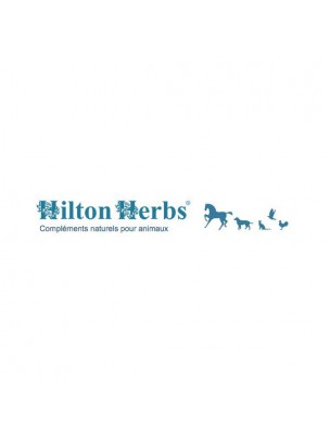 Image 15081 supplémentaire pour Releaf Gold - Articulation et Mobilité des chevaux 1 Litre - Hilton Herbs