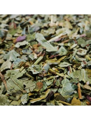 Image de Fraisier - Feuilles coupées 100 g - Tisane Fragaria vesca depuis Commandez les produits Louis à l'herboristerie Louis