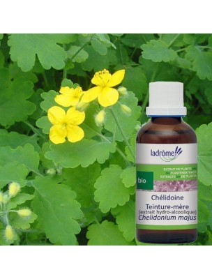 Image de Chélidoine Bio - Verrues Teinture-mère 50 ml - Ladrôme depuis ▷ Meilleures ventes de plantes médicinales à l'herboristerie