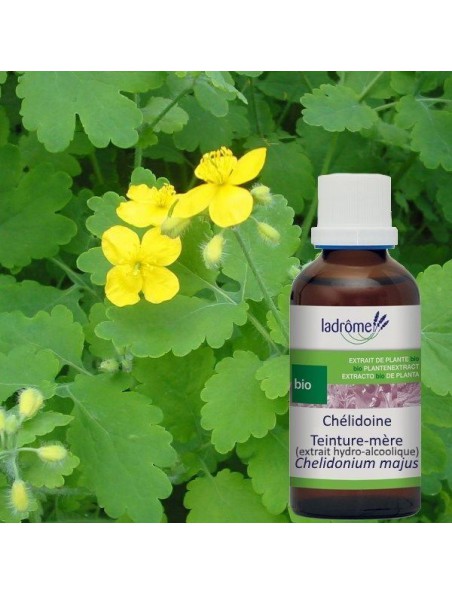 Chélidoine Bio - Verrues Teinture-mère 50 ml - Ladrôme
