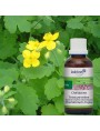 Image de Celidonia organic mother tincture 50 ml - Wart Ladrôme via Buy Annual Tansy - Essential Oil Tanacetum annuum 5 ml