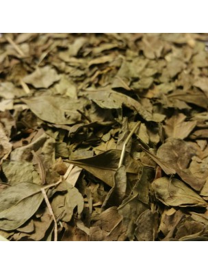 Image de Henné naturel - Feuilles coupées 100g - Tisane de Lawasonia inermis via Pierre d'Alun Bio - Allo Nature