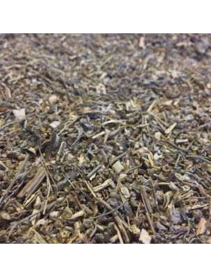 Image de Absinthe Bio - Partie aérienne coupée 100g - Tisane d'Artemisia absinthium L. depuis Plantes Médicinales Bio de l'Herboriste