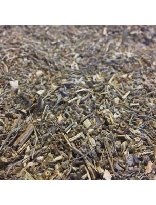 Image de Absinthe Bio - Partie aérienne coupée 100g - Tisane d'Artemisia absinthium L. depuis Résultats de recherche pour "Mascara Care Vo"