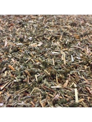 Image de Agrimony - Cut flowering tops 100g - Herbal tea from Agrimonia eupatoria L. depuis Organic Medicinal Plants of the Herbalist