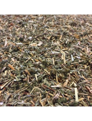 Image de Aigremoine - Sommité fleurie coupée 100g - Tisane d'Agrimonia eupatoria L. depuis Achetez vos Tisanes en ligne