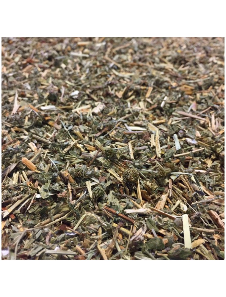 Image principale de la modale pour Aigremoine - Sommité fleurie coupée 100g - Tisane d'Agrimonia eupatoria L.