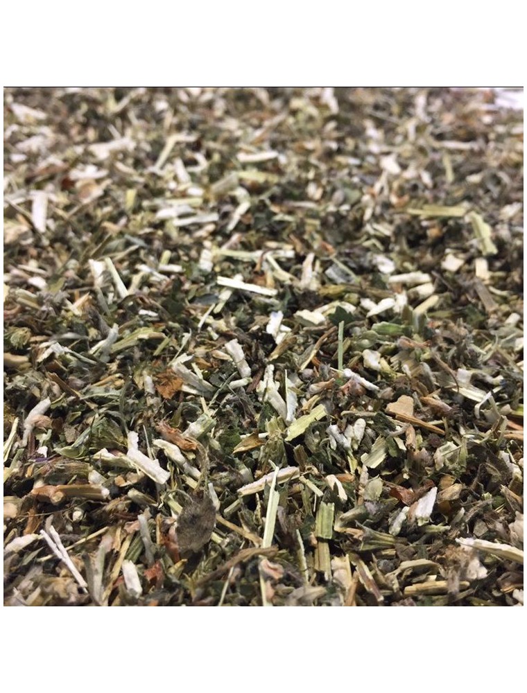 Image principale de la modale pour Agripaume Bio - Plante coupée 100g - Tisane de Leonurus cardiaca L.