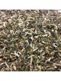 Image de Agripaume Bio - Plante coupée 100g - Tisane de Leonurus cardiaca L. via Olivier Bio - Feuilles coupées 100g - Tisane d'Olea europaea