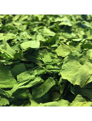 Image de Bear's garlic organic - Cut leaf 100g - Allium ursinum herbal tea depuis Depurative plants to eliminate waste from the body