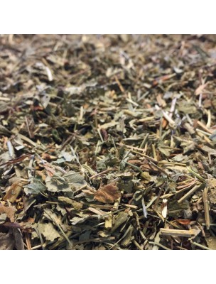 Image de Alchemilla - Cut plant 100g - Herbal tea from Alchemilla vulgaris L. depuis Organic Medicinal Plants of the Herbalist