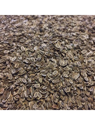 Image de Aneth Bio - Fruit 100g - Tisane d'Anethum graveolens depuis Tisanes unitaires de qualité en ligne - Commandez maintenant !