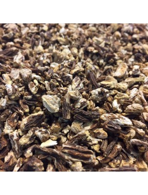 Image de Angelica Bio - Chopped root 100g - Angelica archangelica L. herbal tea depuis Herbs of the herbalist's shop Louis (2)