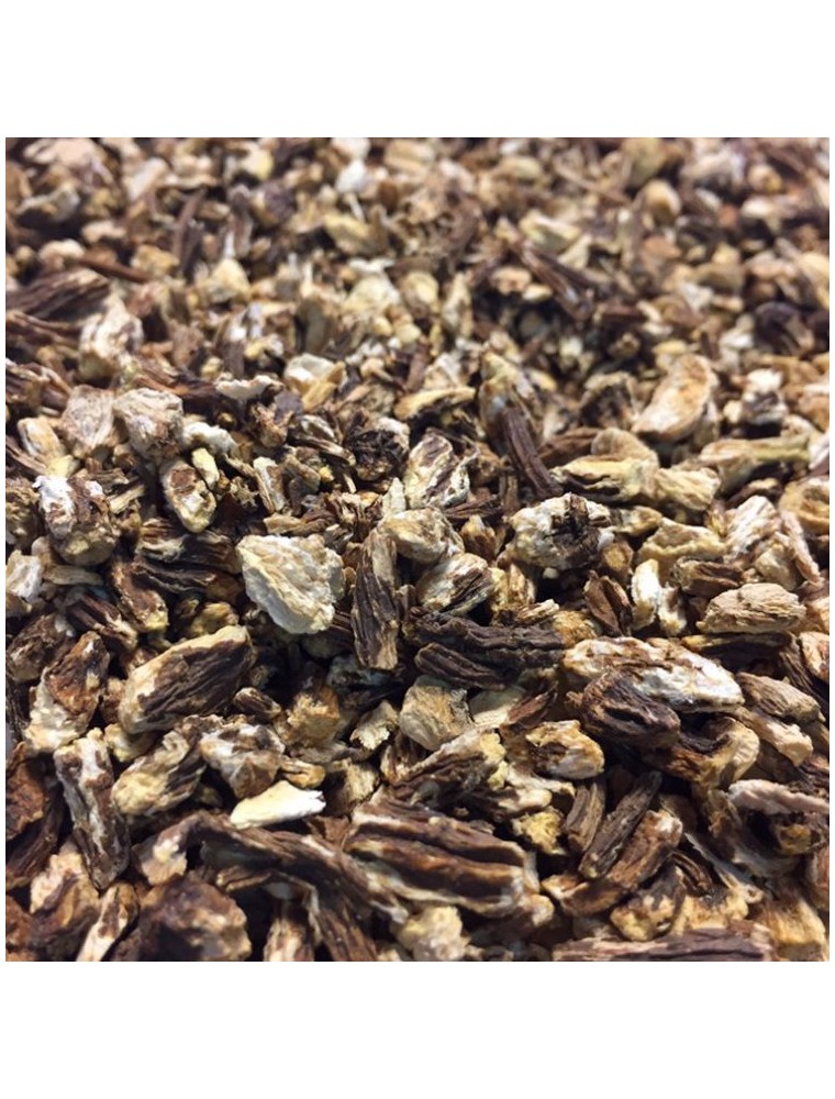 Image principale de la modale pour Angélique Bio - Racine coupée 100g - Tisane d'Angelica archangelica L.