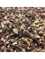 Image de Angelica Bio - Chopped root 100g - Angelica archangelica L. herbal tea via Buy Angelica organic tincture - Digestion and tonic