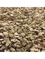 Image de Angélique Bio - Fruit 100g - Tisane d'Angelica archangelica L. depuis ▷▷ Tisanes de plantes commençant par la lettre A (2)