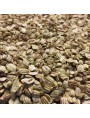 Image de Angelica Bio - Fruit 100g - Angelica archangelica L. herbal tea via Buy Bifibiol Vital 50 years and Fibers - Ferments 12 billion