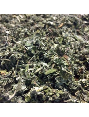Image de Armoise - Feuille coupée 100g - Tisane d'Artemisia vulgaris L. depuis Achetez les produits Louis à l'herboristerie Louis