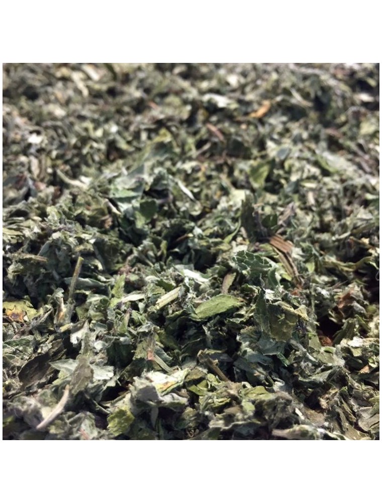 Image principale de la modale pour Armoise - Feuille coupée 100g - Tisane d'Artemisia vulgaris L.