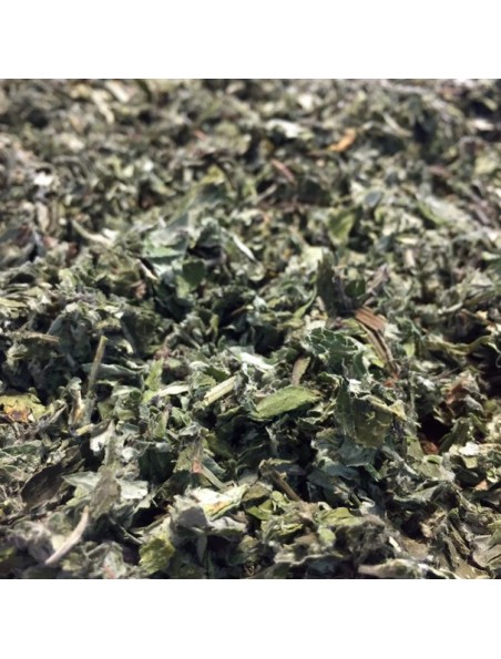 Image principale de Armoise - Feuille coupée 100g - Tisane d'Artemisia vulgaris L.