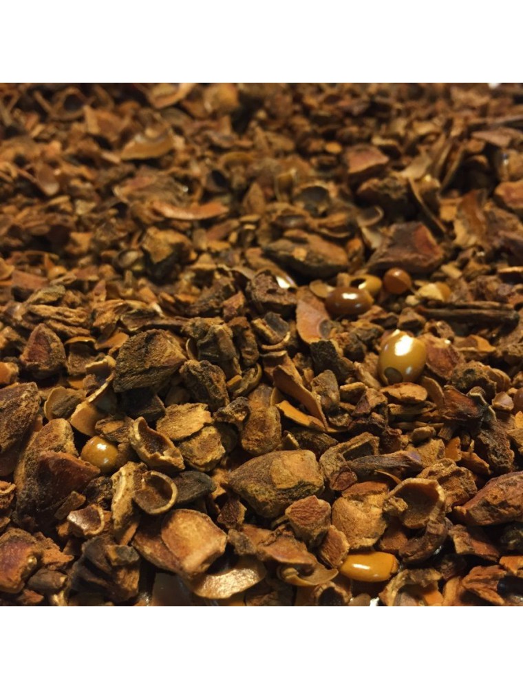 Image principale de la modale pour Anis étoilé (badiane) Bio - Fruit concassé 100g - Tisane d'Illicium verum Hook. f.