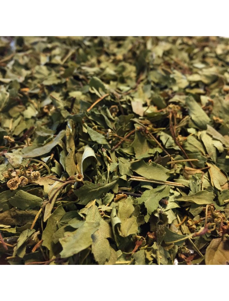 Image principale de la modale pour Aubépine Bio - Sommité fleurie 100g - Tisane de Crataegus monogyna Jacq.