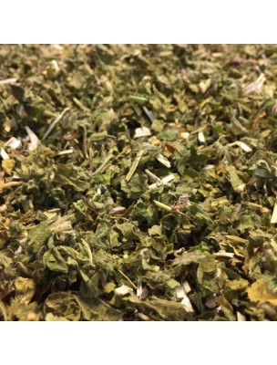 Image de Ballote fétide Bio - Partie aérienne coupée 100g - Tisane de Ballota nigra depuis Tisanes unitaires de qualité en ligne - Commandez maintenant ! (2)