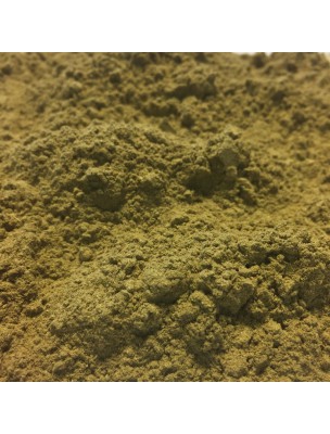 Image de Alchemilla Bio - Aerial part in powder 100g - Alchemilla vulgaris L. depuis Herbs of the herbalist's shop Louis