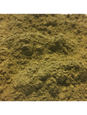 Image de Alchémille Bio - Partie aérienne en poudre 100g - Alchemilla vulgaris L. depuis Plantes Médicinales Bio de l'Herboriste en Poudres