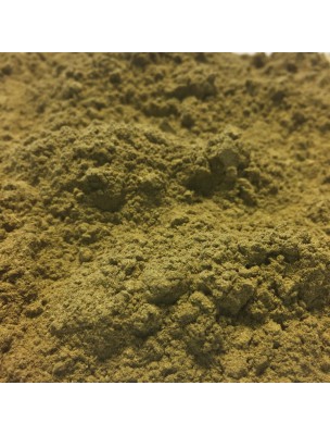 Image de Alchémille Bio - Partie aérienne en poudre 100g - Alchemilla vulgaris L. via Alfalfa Bio - Graines 100g - Tisane de Medicago sativa