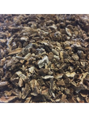 Image de Bardane Bio - Racine coupée 100g - Tisane Arctium lappa L. via Platane bourgeon Bio Herbalgem