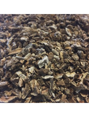 Image de Burdock Organic - Cut root 100g - Herbal Tea Arctium lappa L. via Buy Organic Aloe Vera Gel - Moisturizes and Protects 125 ml
