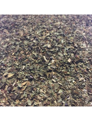 Image de Basilic Bio - Feuilles coupées 100g - Tisane Ocimum basilicum L. via Safran Bio - Crocus sativus