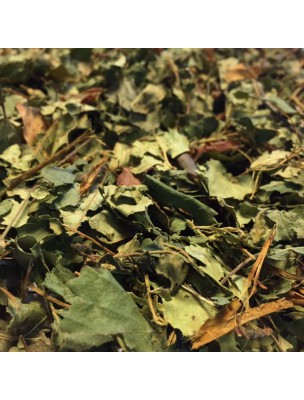 Image de Bouleau Bio - Feuilles coupées 100g - Tisane de Betula pendula Roth depuis Frêne à Manne - Larmes 100g - Tisane de Fraxinus ornus