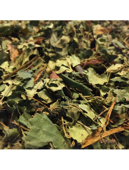 Image principale de Bouleau Bio - Feuilles coupées 100g - Tisane de Betula pendula Roth