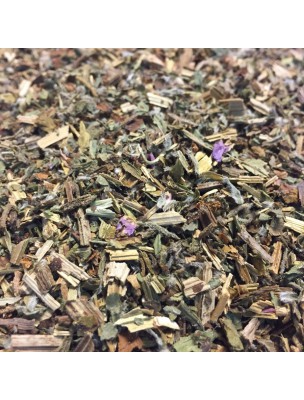 Image de Bourrache Bio - Partie aérienne coupée 100g - Tisane de Borago officinalis L. via Onagre Bio - Peau Teinture-mère d'Oenothera biennis - Herbiolys