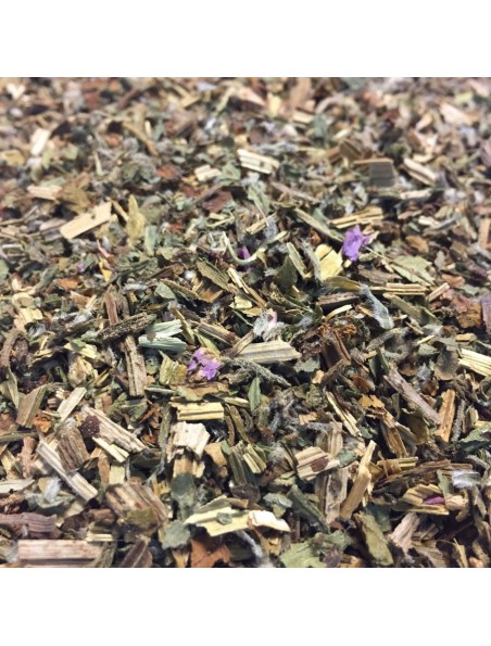 Image principale de Bourrache Bio - Partie aérienne coupée 100g - Tisane de Borago officinalis L.