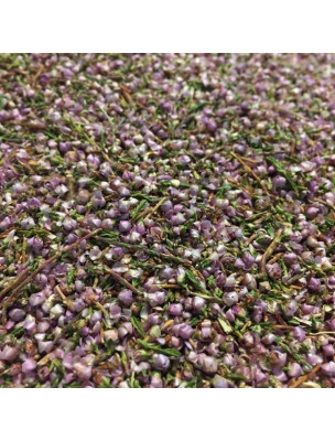 Image de Bruyère Bio - Fleurs et feuilles 100g - Tisane Calluna vulgaris (L.) Hull via Myrtille Bio Tisane - Feuilles coupées 100g