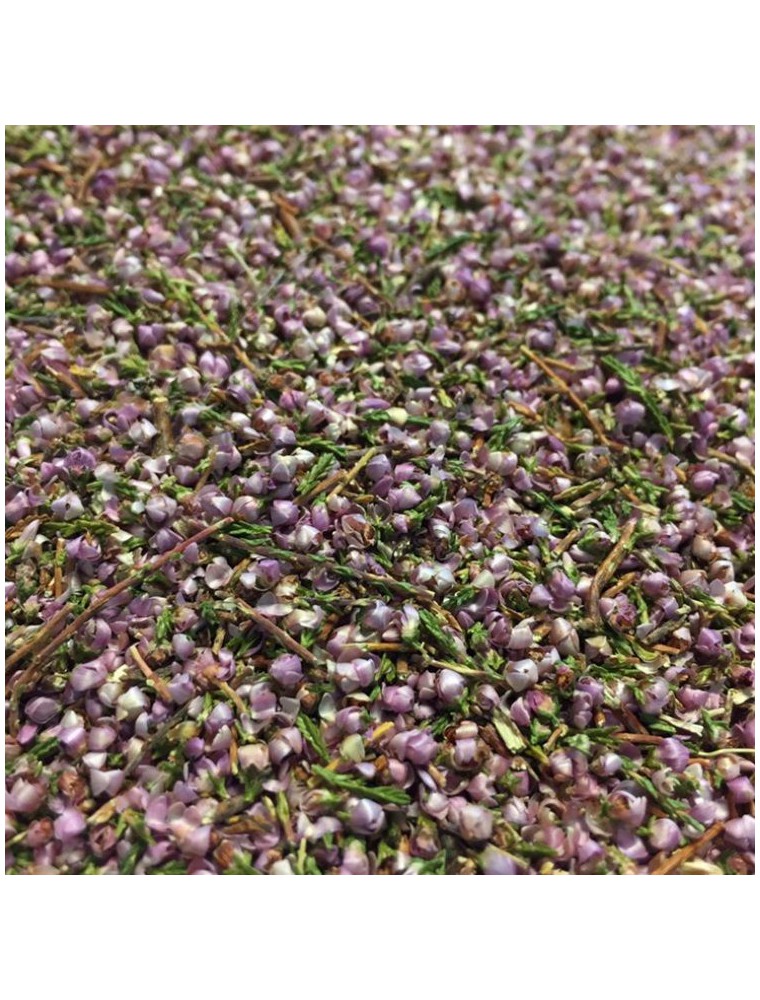 Image principale de la modale pour Bruyère Bio - Fleurs et feuilles 100g - Tisane Calluna vulgaris (L.) Hull