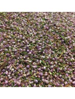 Image de Bruyère Bio - Fleurs et feuilles 100g - Tisane Calluna vulgaris (L.) Hull depuis Tisanes unitaires de qualité en ligne - Commandez maintenant ! (3)