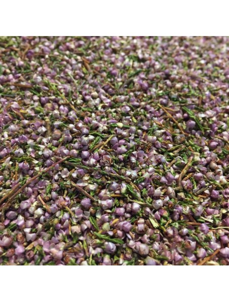 Image principale de Bruyère Bio - Fleurs et feuilles 100g - Tisane Calluna vulgaris (L.) Hull