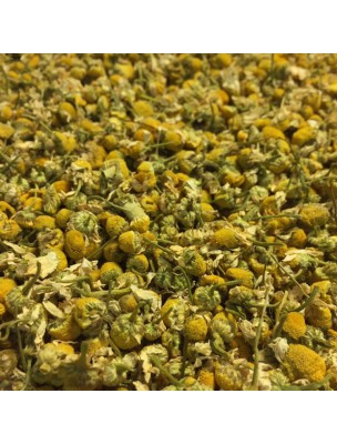 Image de Camomille allemande (Matricaire) Bio - Fleurs 100g - Tisane Matricaria chamomilla L. via Biover - Camomille allemande Bio - Digestion Teinture-mère 50 ml