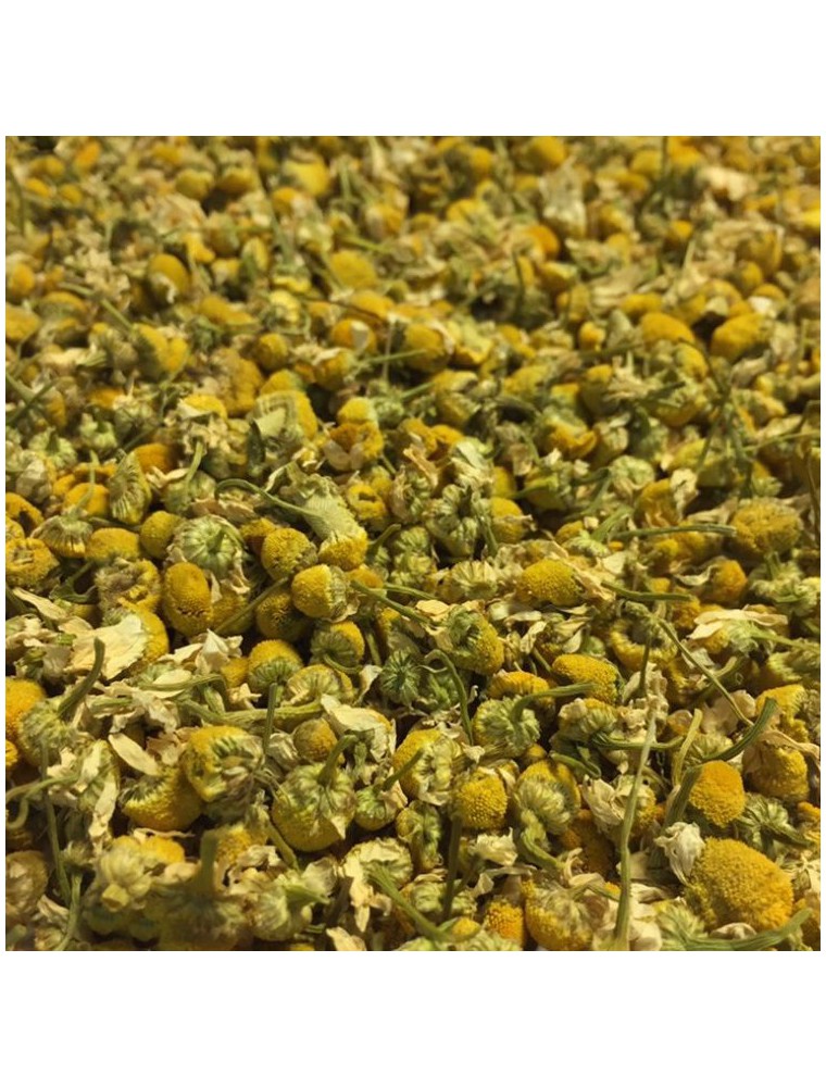 Image principale de la modale pour Camomille allemande (Matricaire) Bio - Fleurs 100g - Tisane Matricaria chamomilla L.