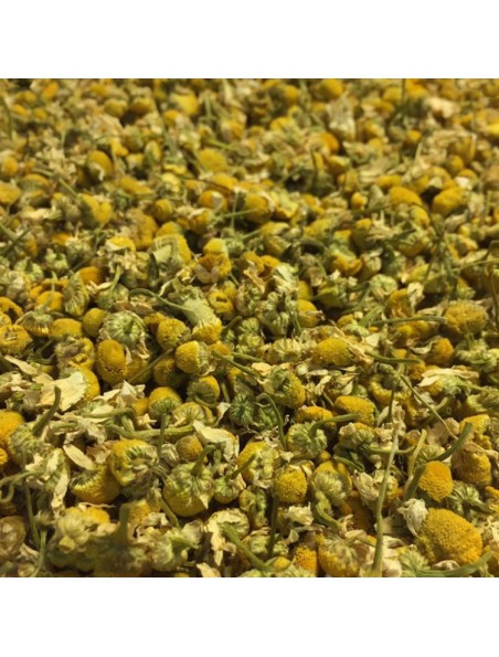 Image principale de Camomille allemande (Matricaire) Bio - Fleurs 100g - Tisane Matricaria chamomilla L.