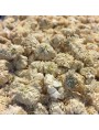 Image de Roman Chamomile Organic (noble) - Flowers 50g - Anthemis nobilis herbal tea via Buy Ceramic Fumigation Bowl - Pentacle 13 x 10
