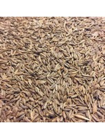 Image de Carvi Bio - Graines 100g - Tisane de Carum carvi L. depuis Achetez des épices et aromates naturels en ligne